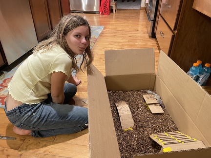 New Box for Wildflower